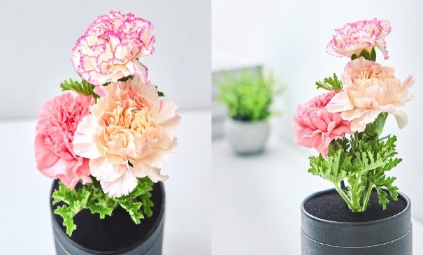 LIFULL FLOWER Happy Mother's Day 2021 Flower With Music