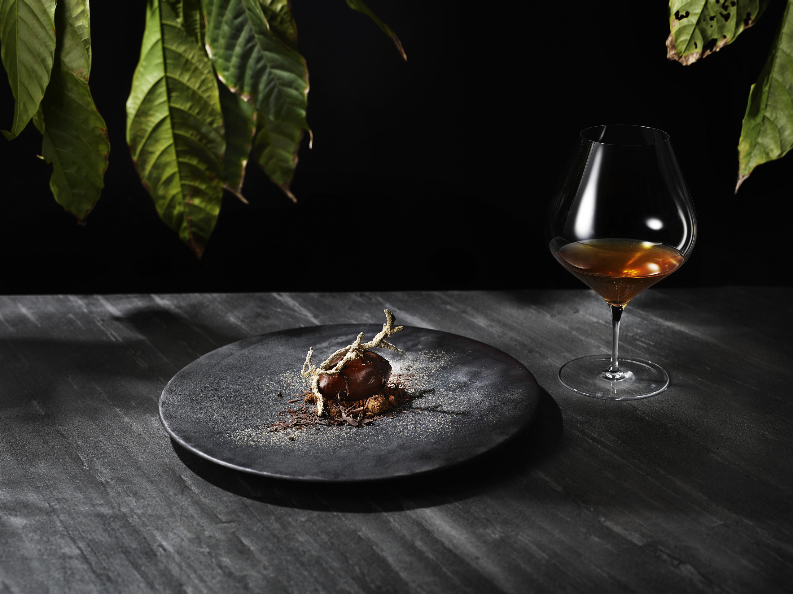 LIFE OF CACAO:2品目 芽生え